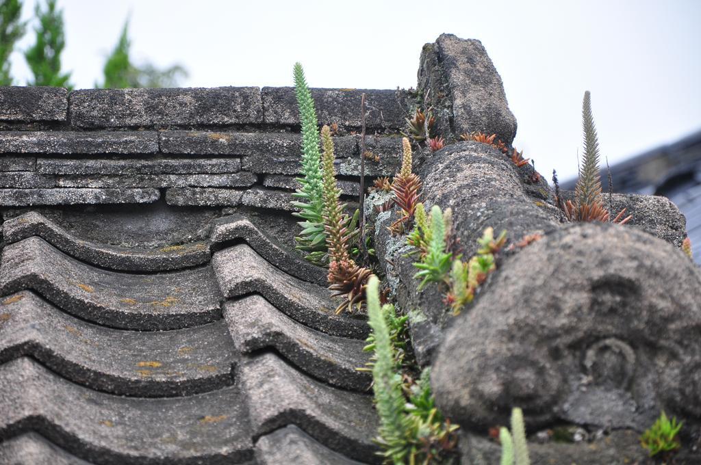 Soi Hanok Stay Gyeongju Zewnętrze zdjęcie
